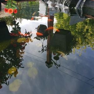 Meet your Posher, Jon